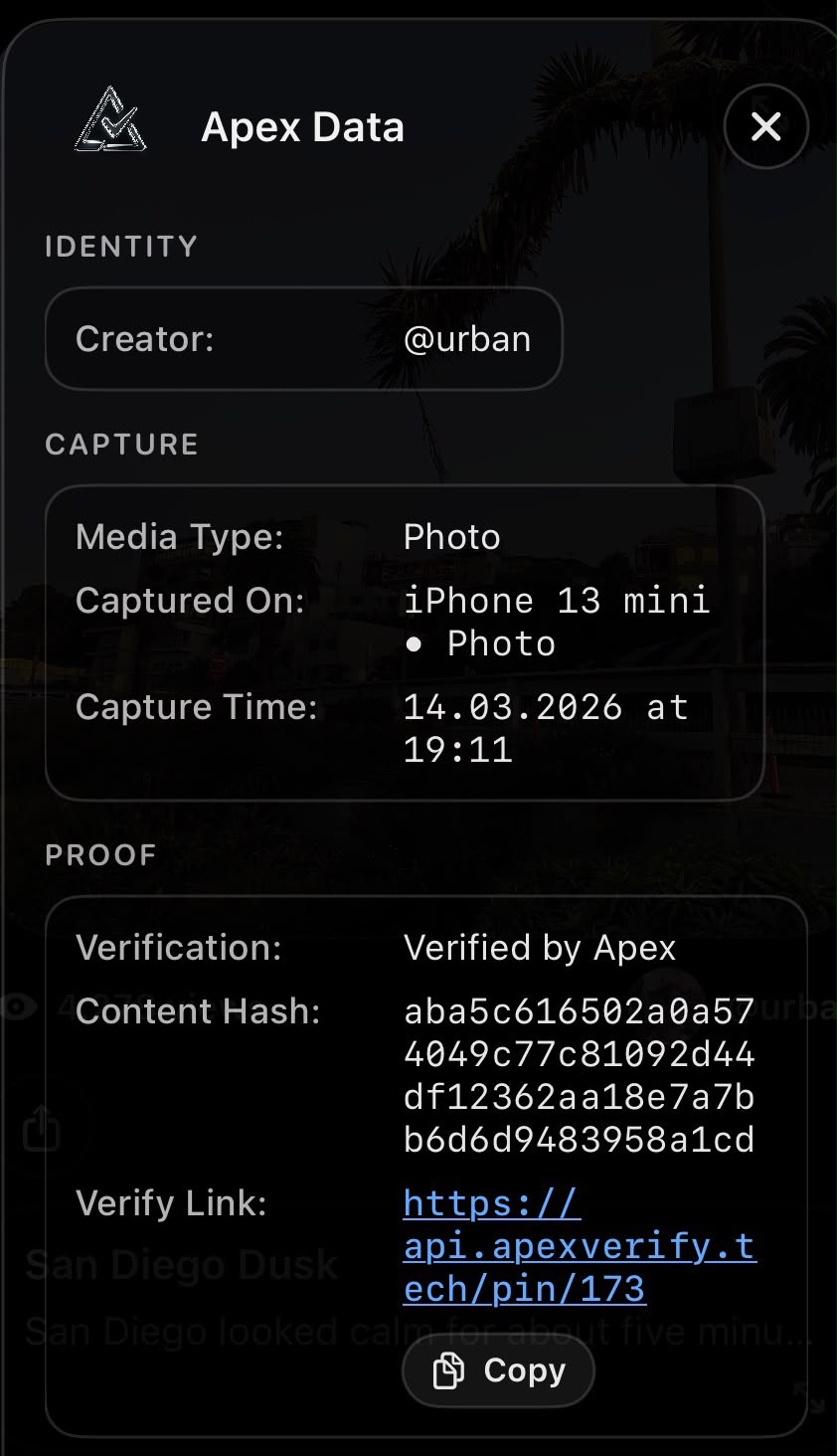 Cropped Apex Data for San Diego Dusk showing creator, iPhone capture details, content hash and verify link